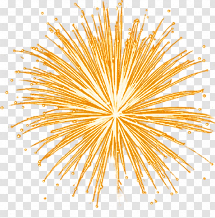 Light Fireworks Clip Art - Festival Transparent PNG