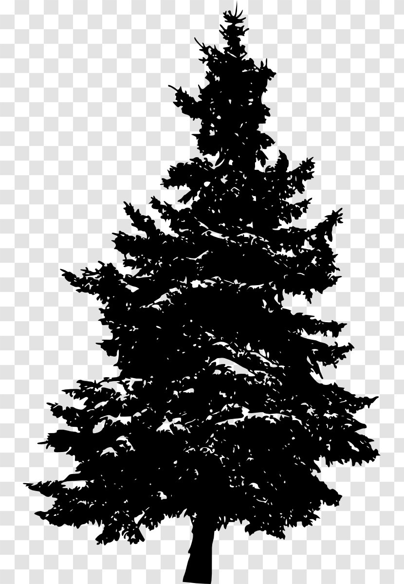 Pine Silhouette Fir Tree - Leaf Transparent PNG