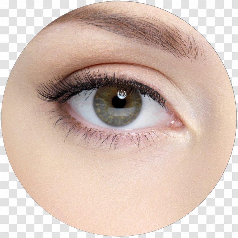 Blepharoplasty Eyelid Surgery Surgeon - Frame - Eye Transparent PNG