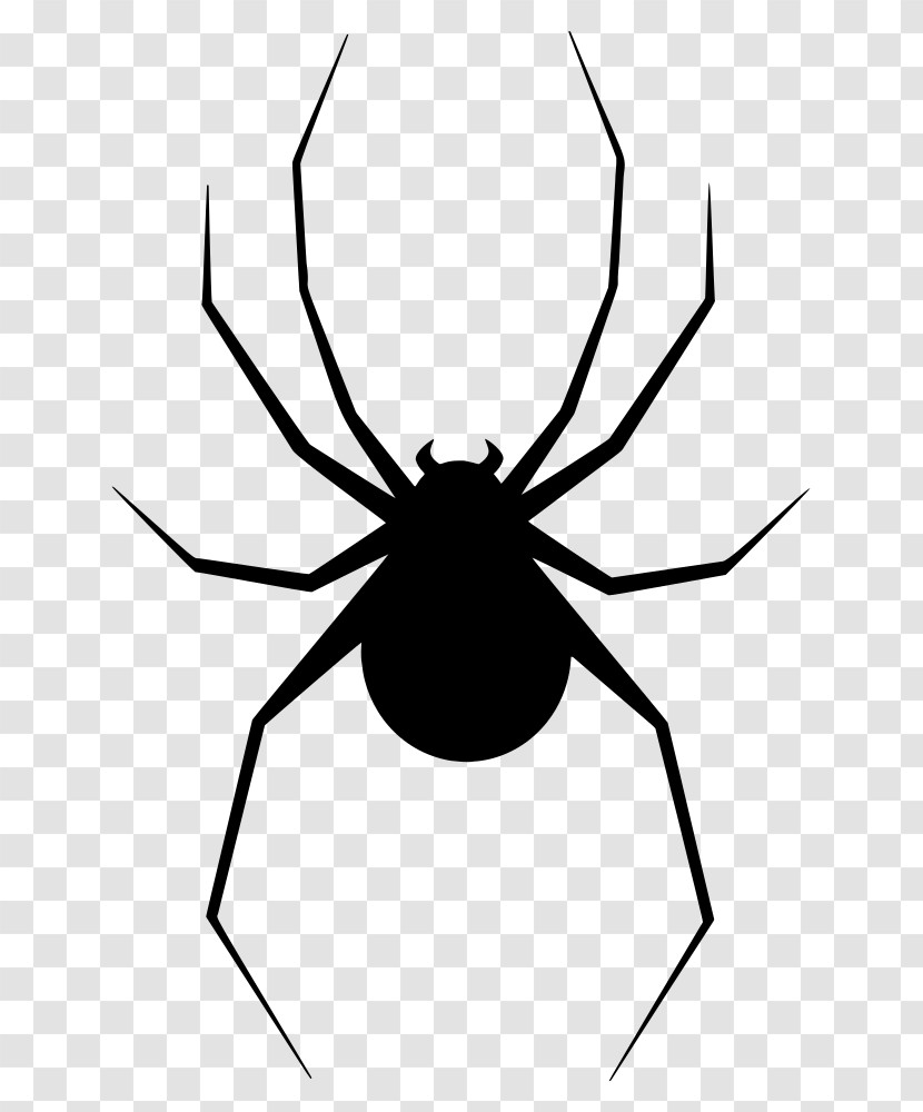 Spider Arachnid Line Pest Widow Spider Transparent PNG