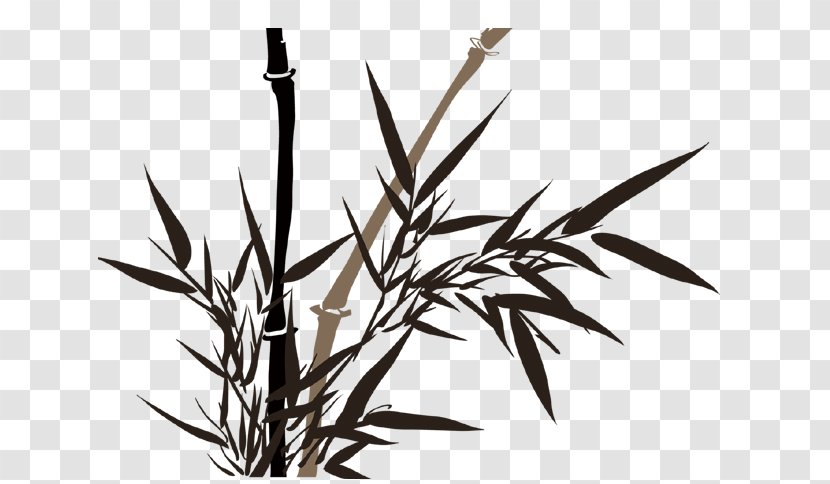 Bamboo Painting Ink Wash Drawing - Black And White Transparent PNG