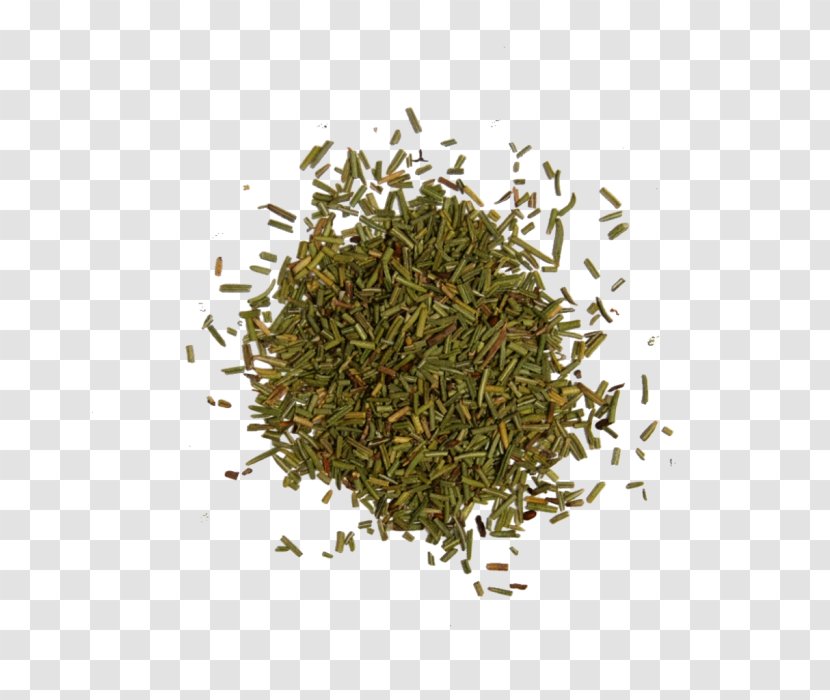 Rosemary Seasoning Herb Liquorice - Bancha - Nilgiri Tea Transparent PNG