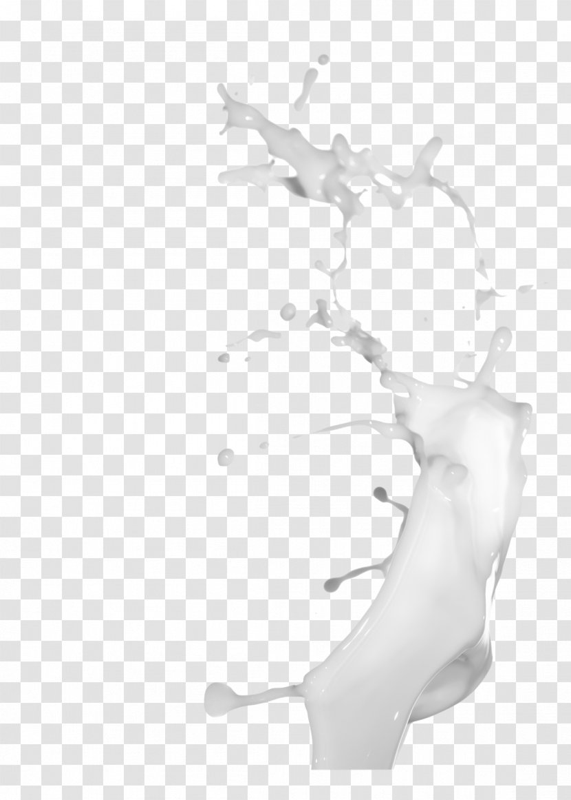 Black And White Milk - Frame Transparent PNG