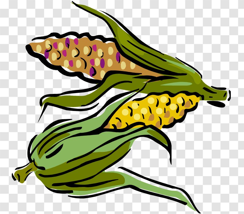 Maize Corn On The Cob Clip Art - Fruit - Husk Transparent PNG