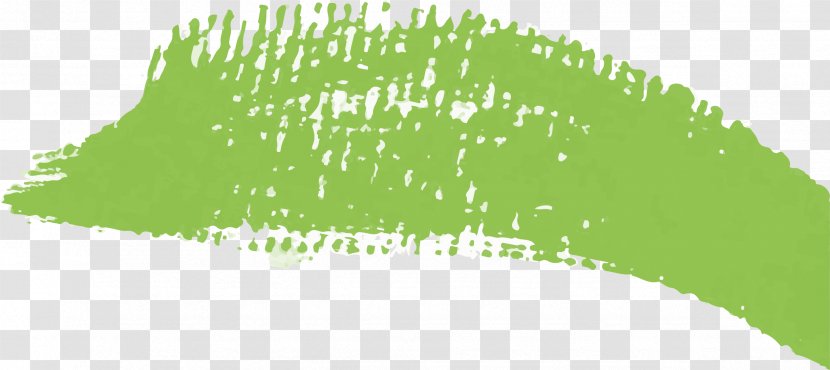 Green Leaf Tree - Pigment - Touch The Vector Transparent PNG