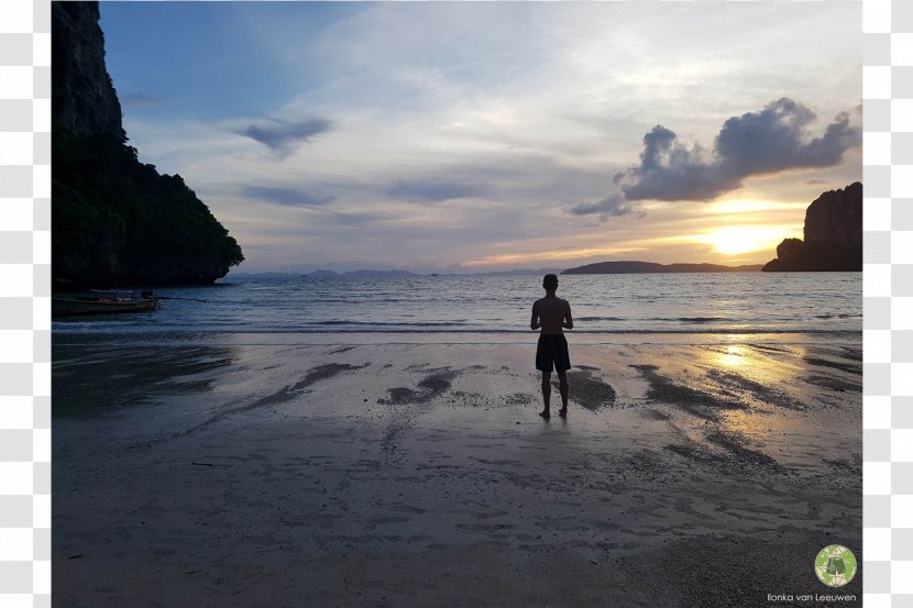 Phi Islands Krabi Shore Travel Ko Chang District Transparent PNG