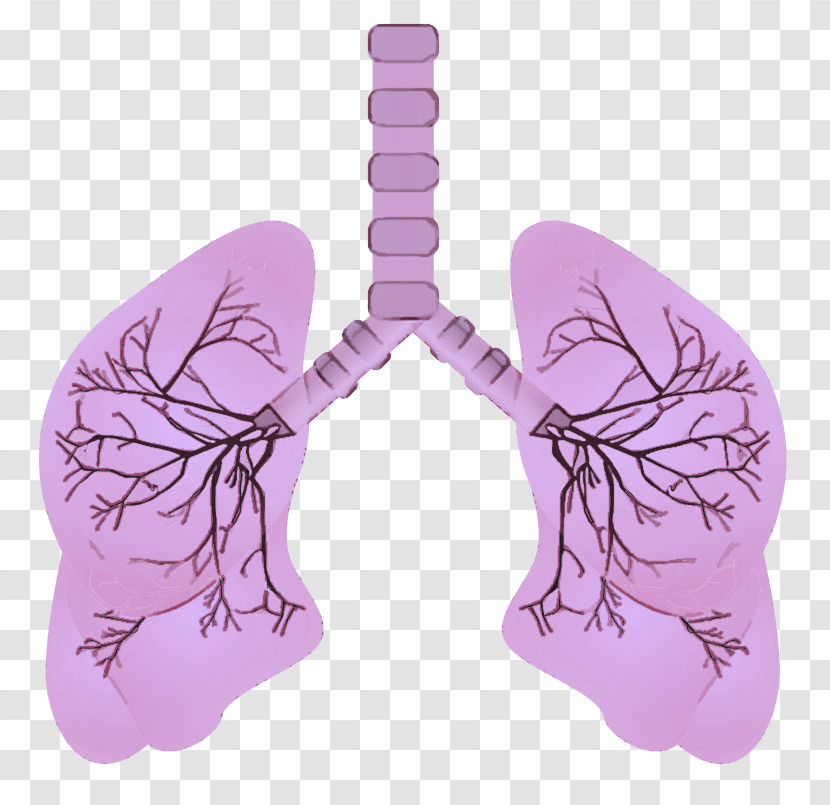 Lavender Transparent PNG