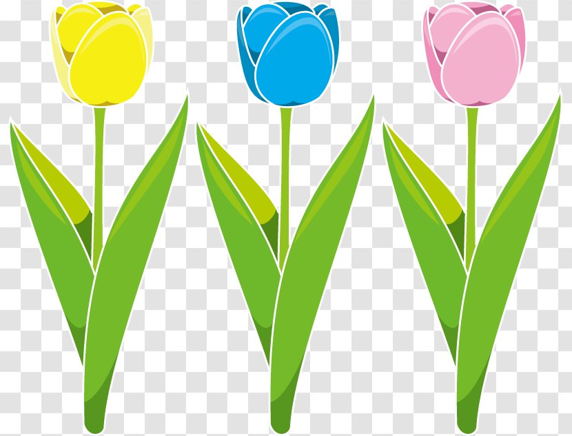 Tulip Cut Flowers Petal Clip Art Transparent PNG