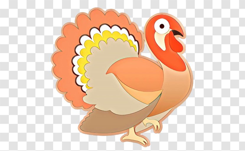 Cartoon Clip Art Bird Beak Chicken - Turkey Transparent PNG