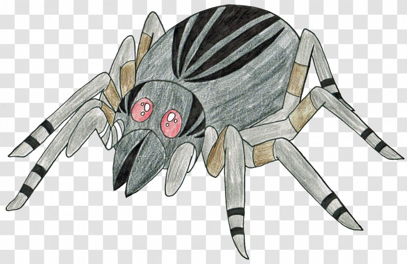 Insect Decapoda Arachnid - Animal Figure Transparent PNG