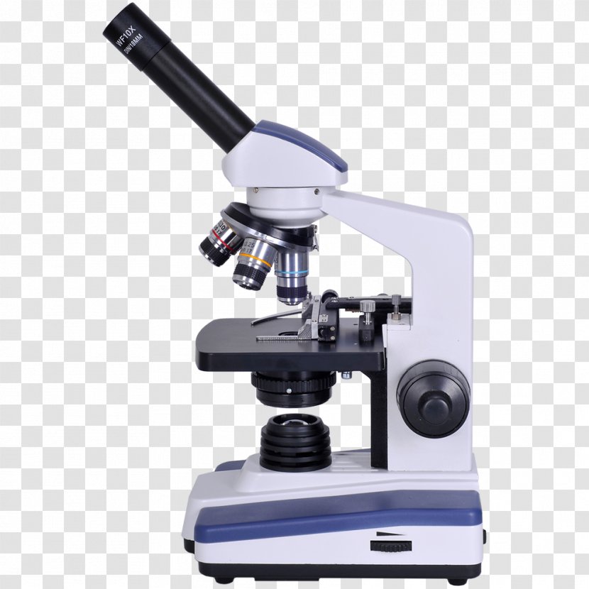 Microscope Free Content Clip Art - Royaltyfree Transparent PNG