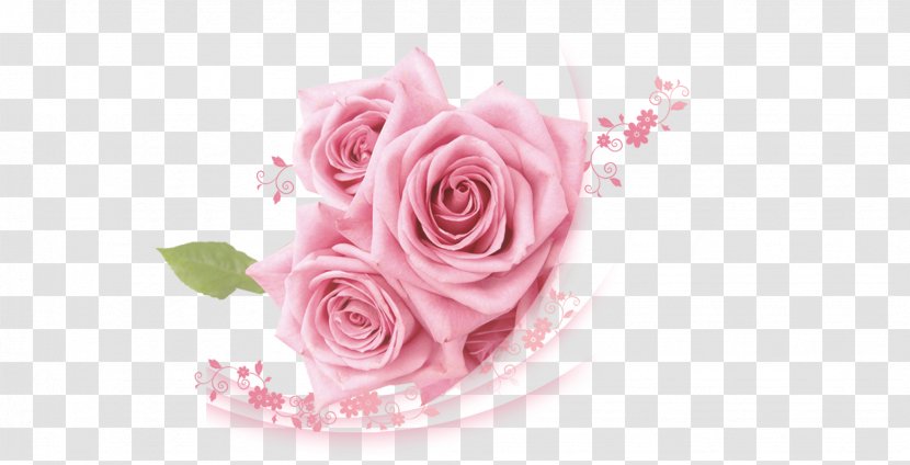 Beach Rose Pink - Floristry - Roses Transparent PNG
