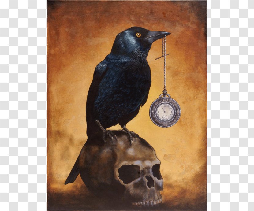 Skull Ltd Printing Frieda Western Jackdaw - Beak - Watercolor Transparent PNG