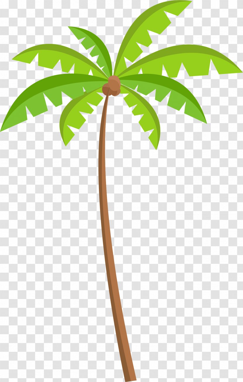 Green Coconut Tree Material Transparent PNG
