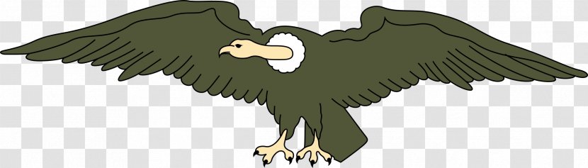 Flag Of Ecuador Condor Clip Art - Feather - Vulture Transparent PNG