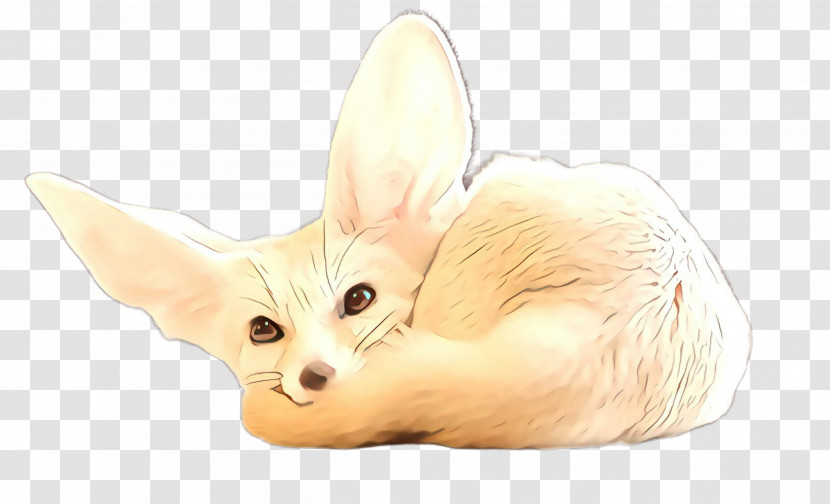 Fennec Fox Fox Fawn Ear Transparent PNG
