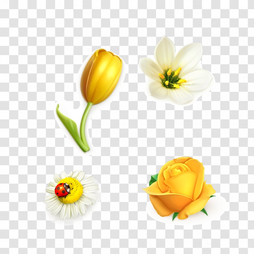 Flower Drawing Floral Design Rose - Stockxchng - All Kinds Of Tulips Transparent PNG