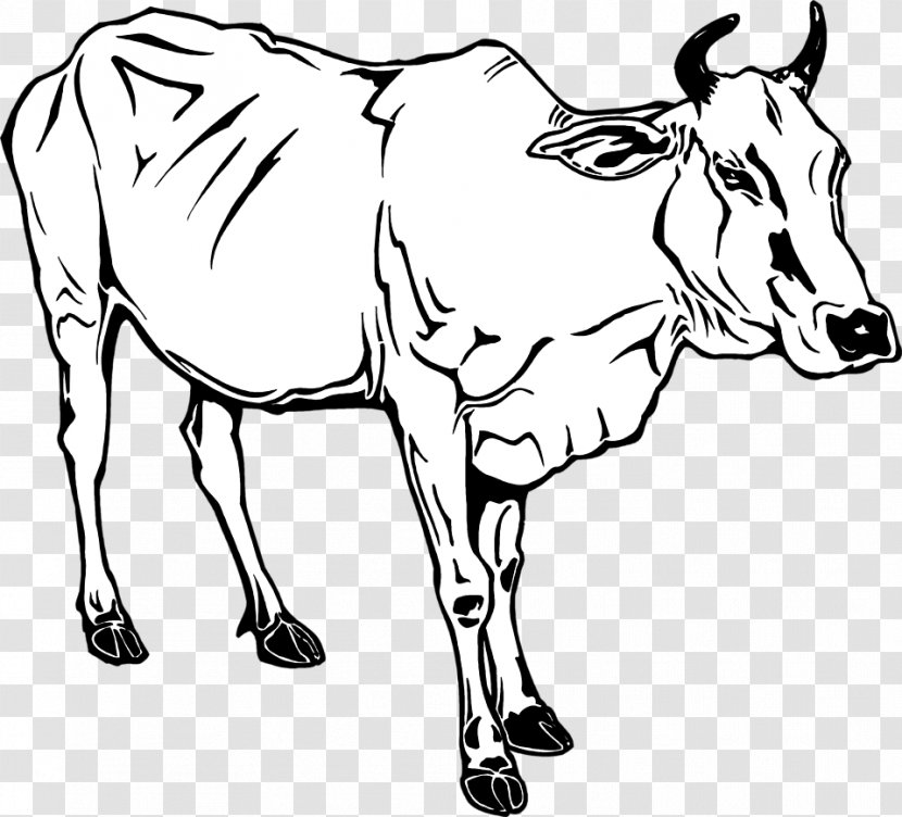Dairy Cattle Ox Water Buffalo Clip Art - Black And White - Organism Transparent PNG