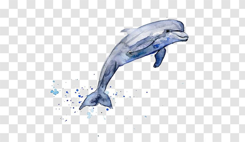 Drawing Dolphin Watercolor Painting Clip Art - Cetacea - Dolphins Transparent PNG
