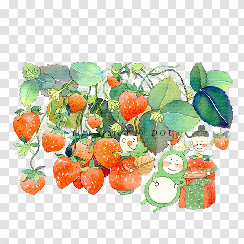 Watercolor Painting Auglis Aedmaasikas Illustration - Illustrator - Hand-painted Strawberry Transparent PNG