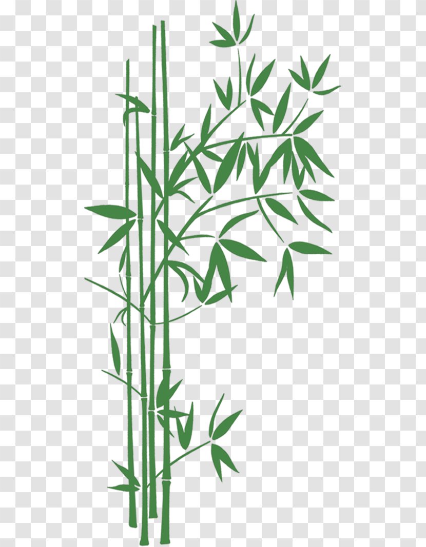 Bamboo Creative Work Playa El Toro Art Romance Novel - Botany Transparent PNG