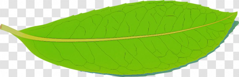 Green Leaf Yellow Transparent PNG