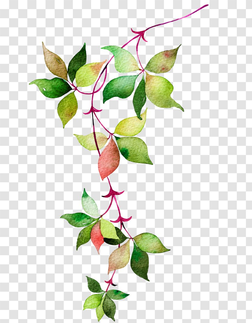 Flower Euclidean Vector Icon - Watercolor Leaves Transparent PNG