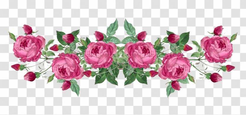 Garden Roses - Cut Flowers - Petal Leaf Transparent PNG