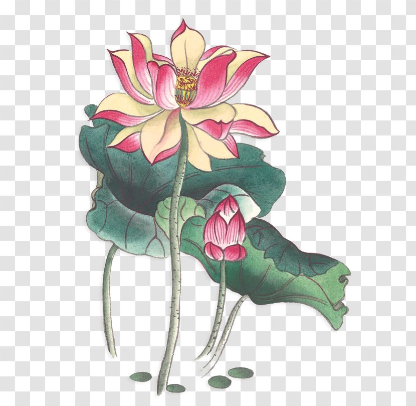Nelumbo Nucifera Ink Wash Painting Watercolor Chinoiserie - Fictional Character - Lotus Material Transparent PNG