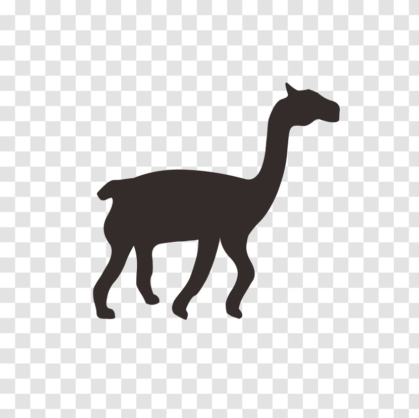 Dobermann Llama Alpaca T-shirt - Farm - Long Neck Camel Transparent PNG