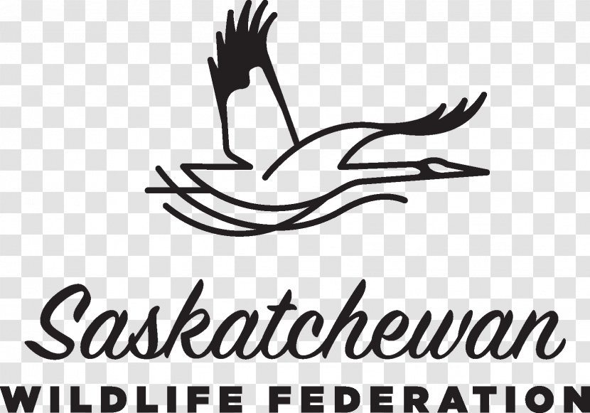 Regina Saskatchewan Wildlife Federation Organization Hunting Lawyer - Black Transparent PNG