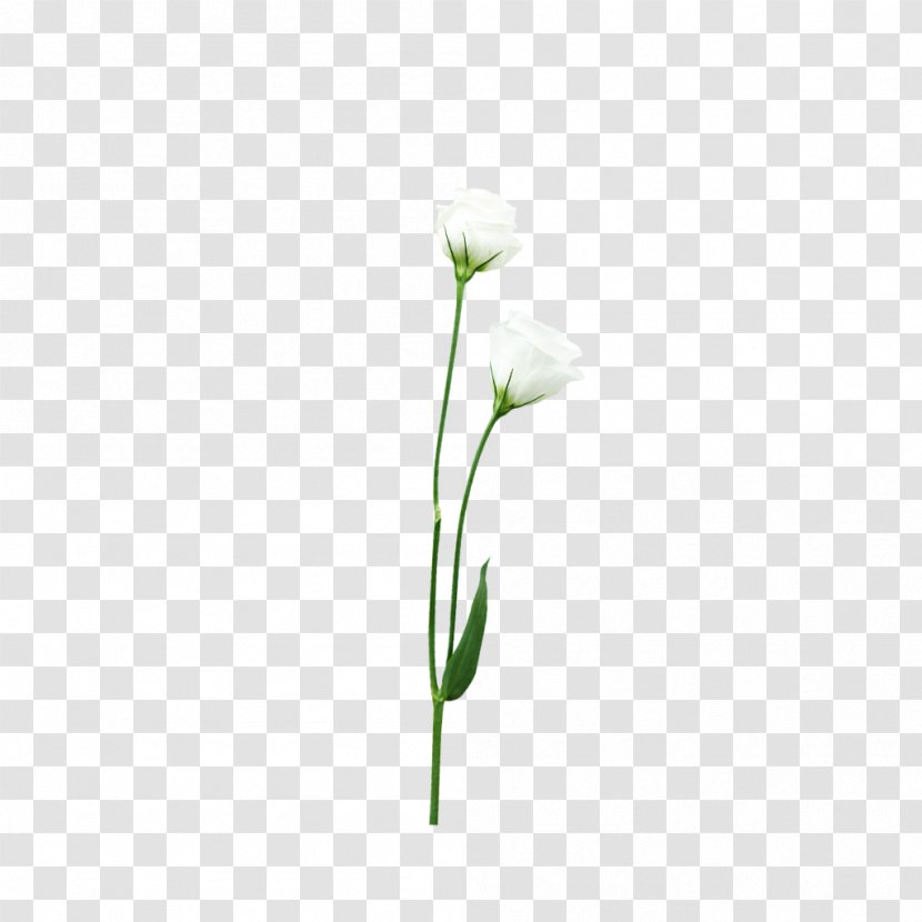 Flower Bouquet Nosegay - White Flowers Creative Transparent PNG