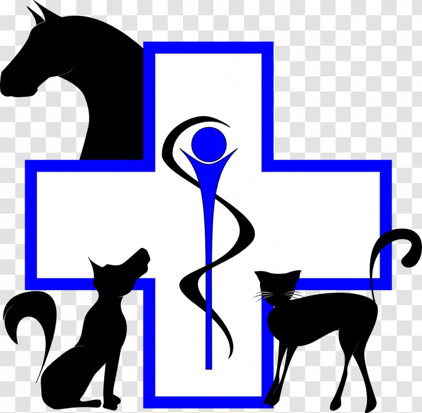 Cat Horse Waremme Equine Medicine Veterinarian - Black And White - Medecine Transparent PNG