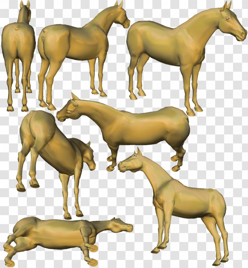 Mustang Cattle Mane Pack Animal Donkey Transparent PNG
