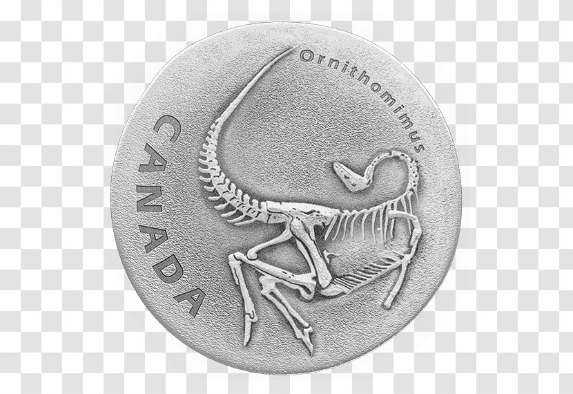 Silver Coin Ornithomimus Canada Transparent PNG