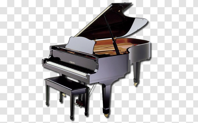 Digital Piano Yamaha Corporation Grand Musical Instruments - Watercolor Transparent PNG