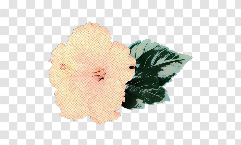 Rosemallows Cut Flowers Petal Peach - Mallow Family - Leaf Transparent PNG