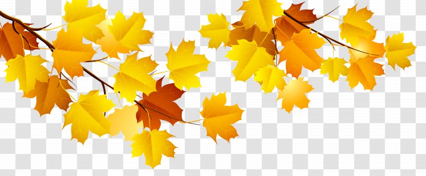 Yellow Autumn Leaf Wallpaper - Image Transparent PNG