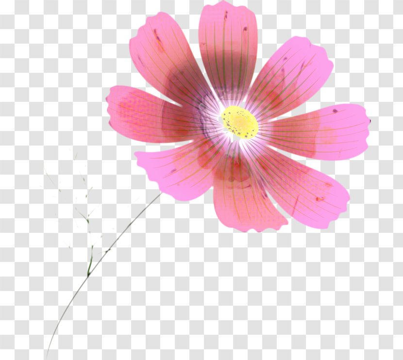 Pink Flower Cartoon - Perennial Plant - Family Transparent PNG