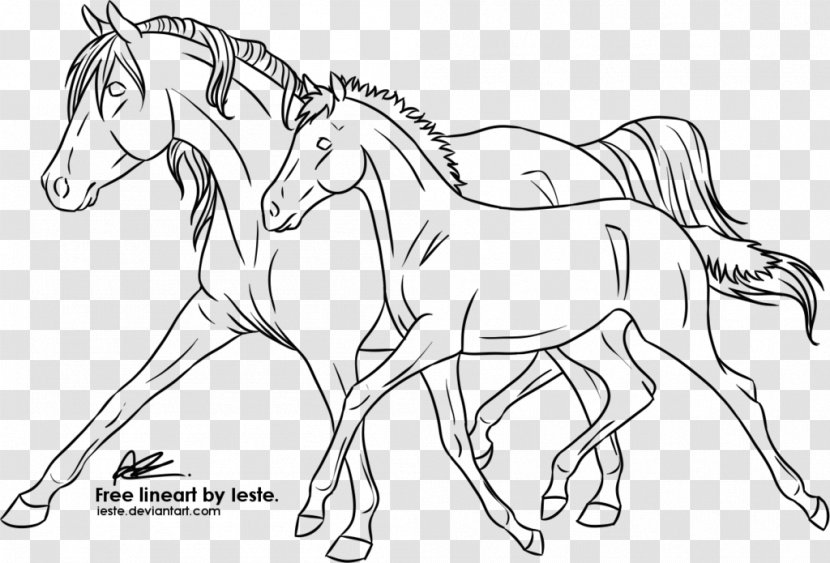 Line Art Foal Mane Mustang Pony - Bridle - Horse Baby Transparent PNG