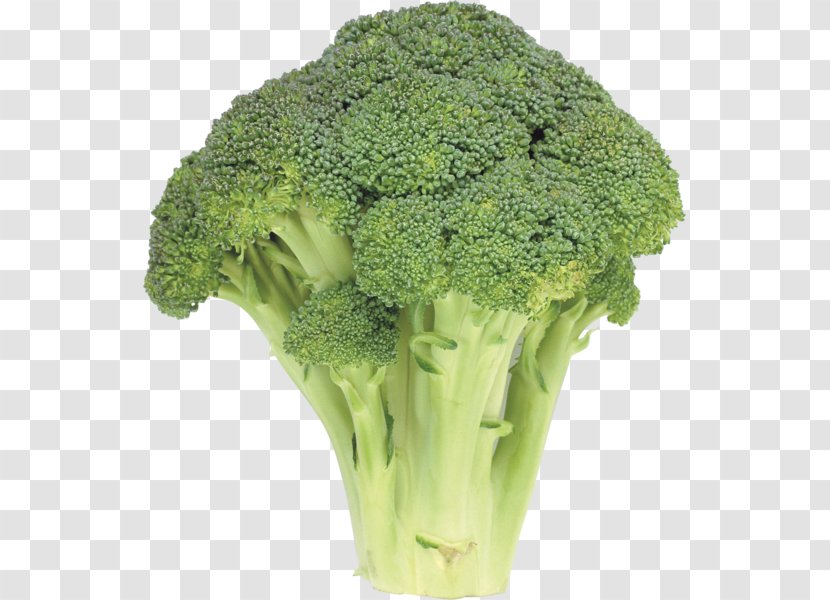 Broccoli Cruciferous Vegetables Cabbage Caesar Salad - Food Transparent PNG