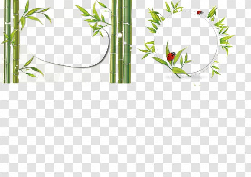 Bamboo Bambusa Oldhamii Red - Flowering Plant - Material Modeling Transparent PNG