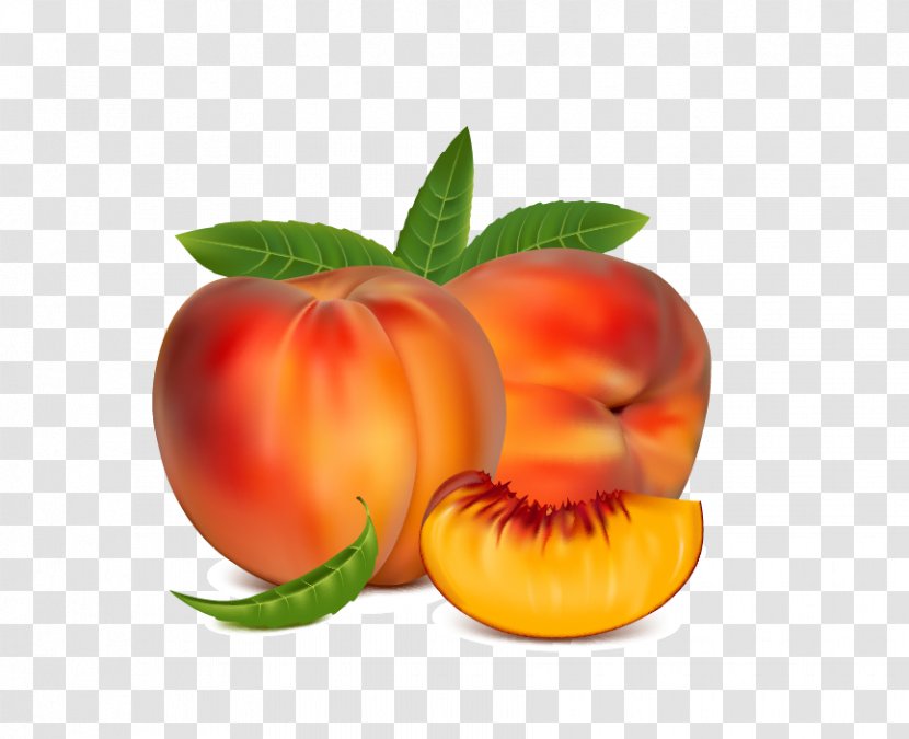 Nectarine Fruit Free Content Clip Art - Royaltyfree - Peach Transparent PNG