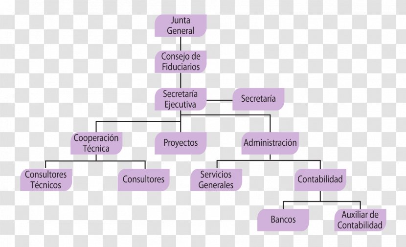 Organizational Structure Chart Belizean–Guatemalan Territorial Dispute - Belizeanguatemalan - El Salvador Transparent PNG