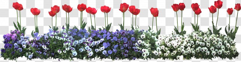 Flower Download Clip Art - Plant Stem Transparent PNG