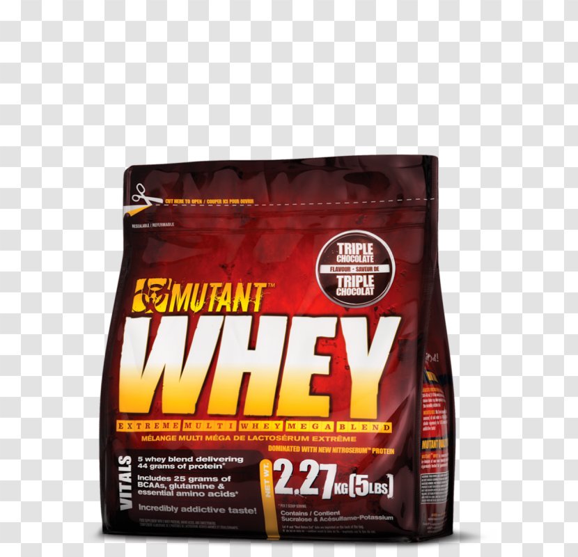 Dietary Supplement Whey Protein Bodybuilding - Brand - Muscle Transparent PNG