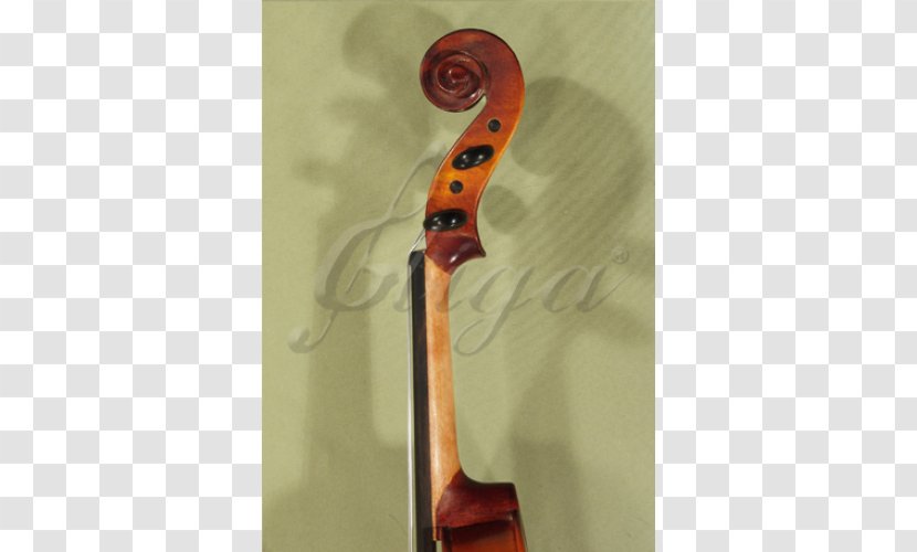 Electric Violin Viola Cello - Family Transparent PNG