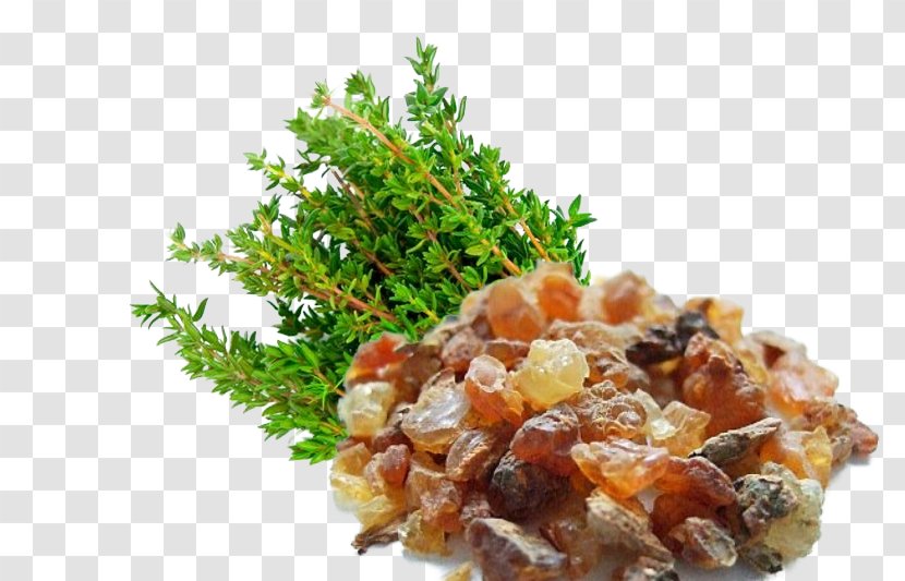 Myrrh Herb Food Resin Incense - Commiphora Transparent PNG