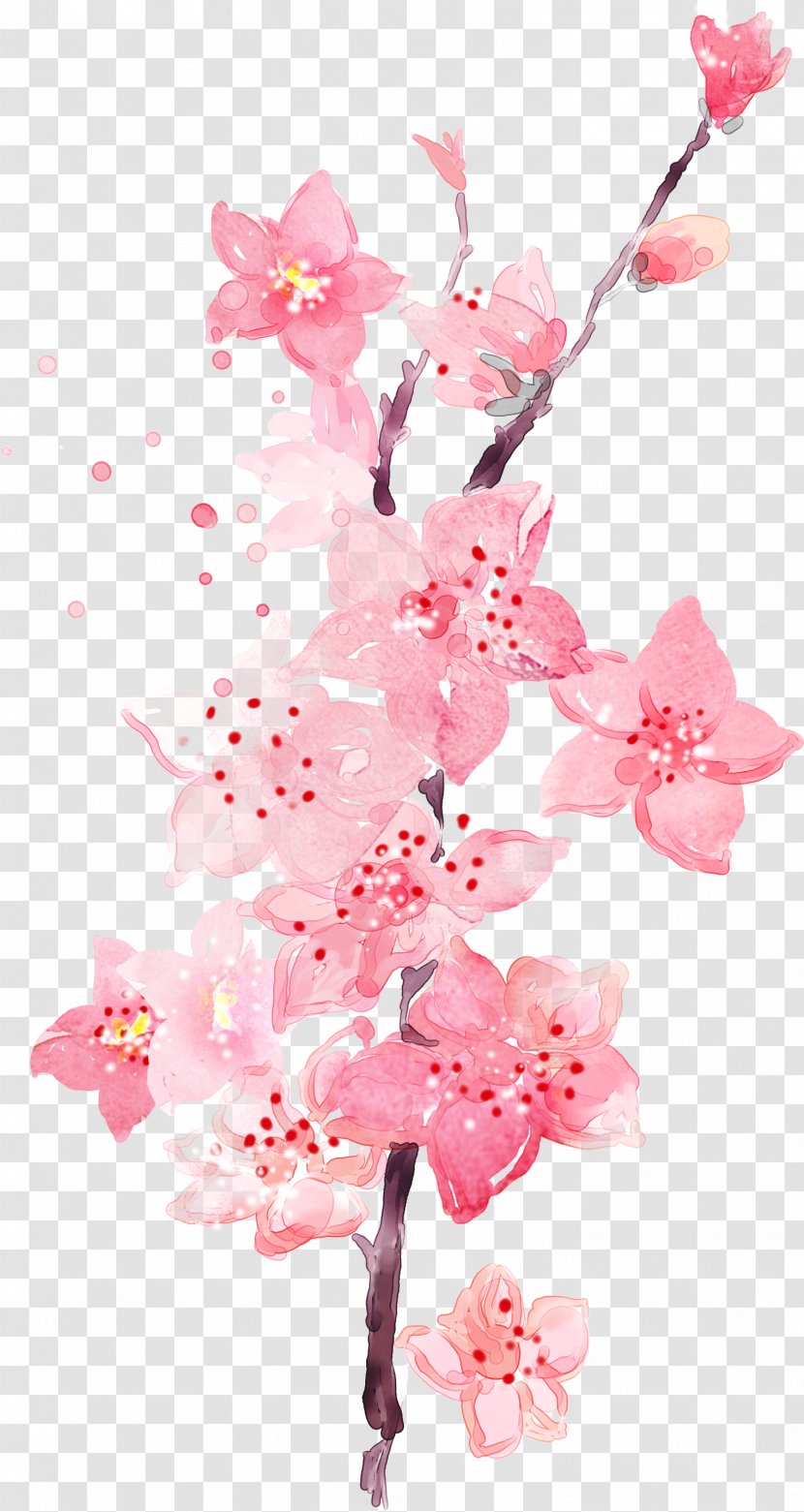 Plum Flower Wallpaper - Watercolor Pink Peach Transparent PNG