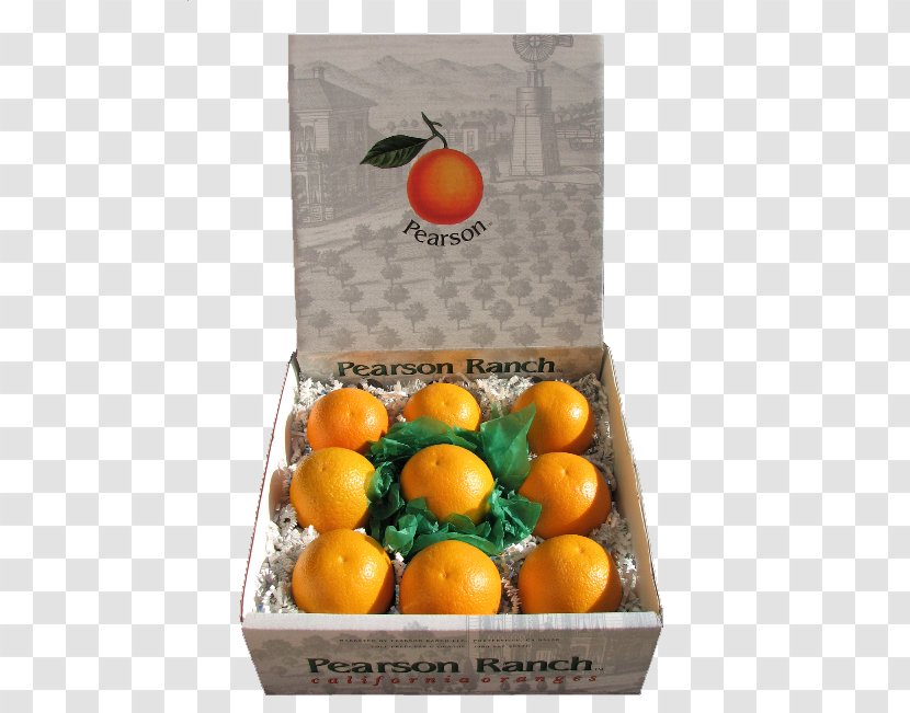 Clementine Valencia Orange Tangerine Mandarin - Diospyros Transparent PNG